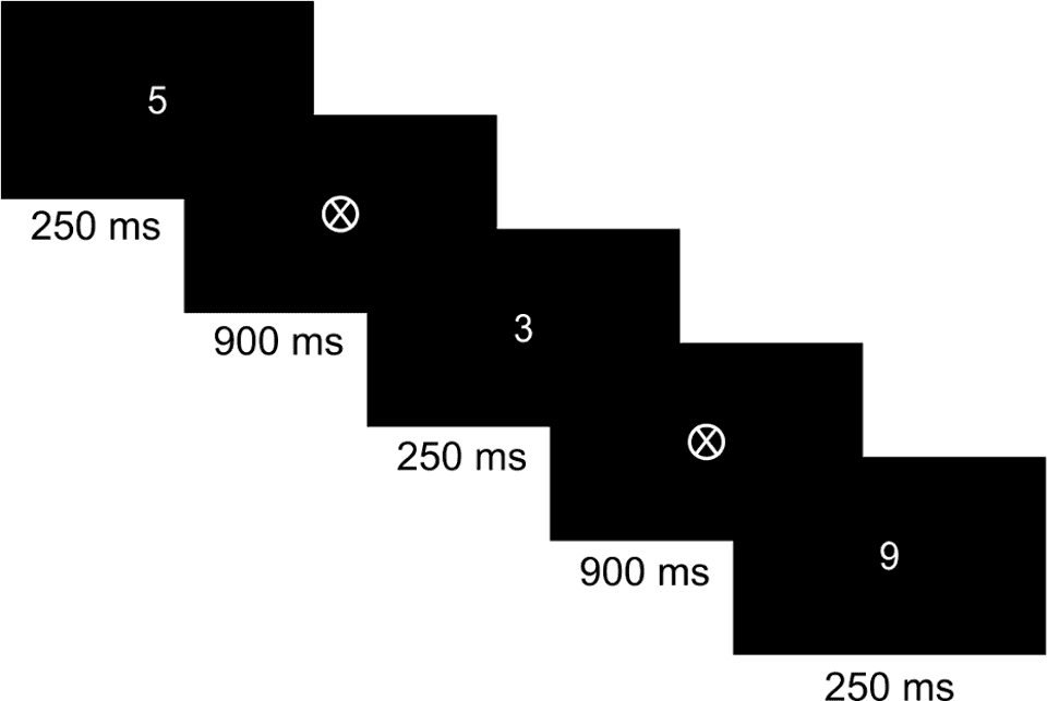 sustained attention to response task with cell phone notifications